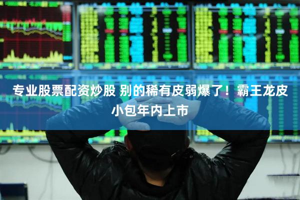 专业股票配资炒股 别的稀有皮弱爆了！霸王龙皮小包年内上市