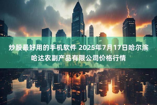 炒股最好用的手机软件 2025年7月17日哈尔滨哈达农副产品有限公司价格行情