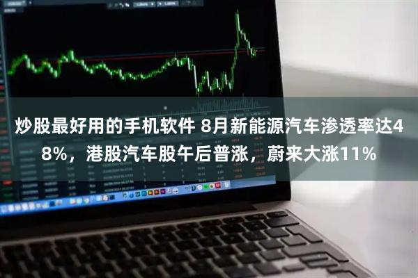 炒股最好用的手机软件 8月新能源汽车渗透率达48%，港股汽车股午后普涨，蔚来大涨11%
